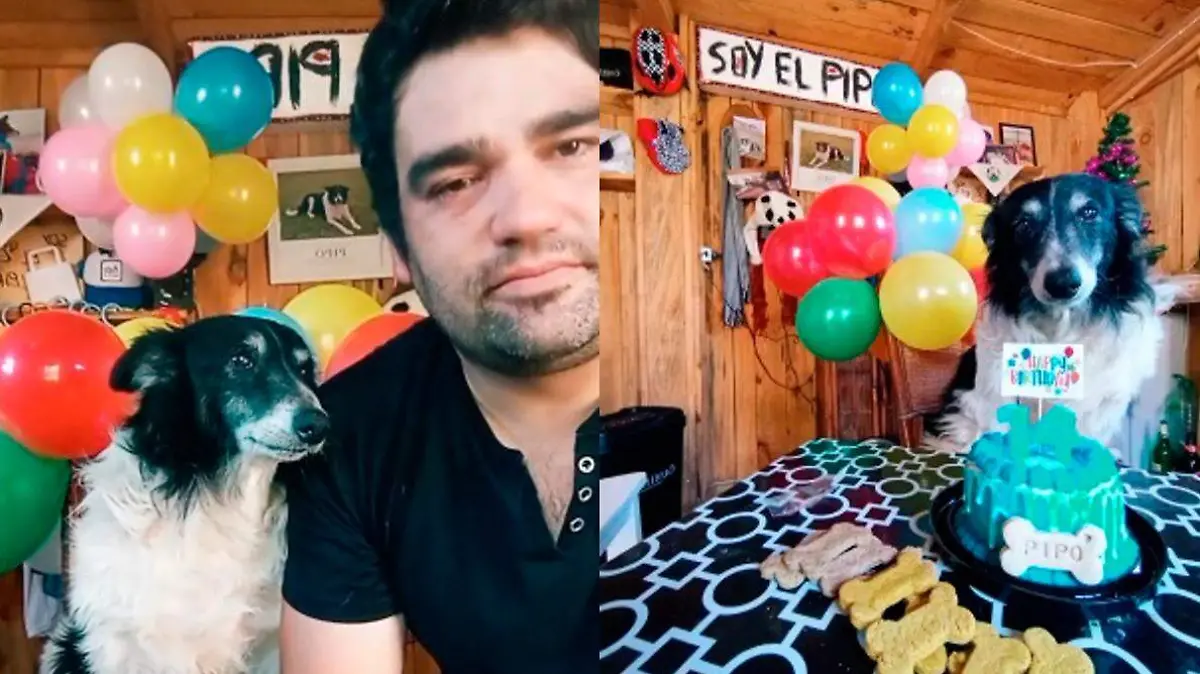 perrito cumpleaños